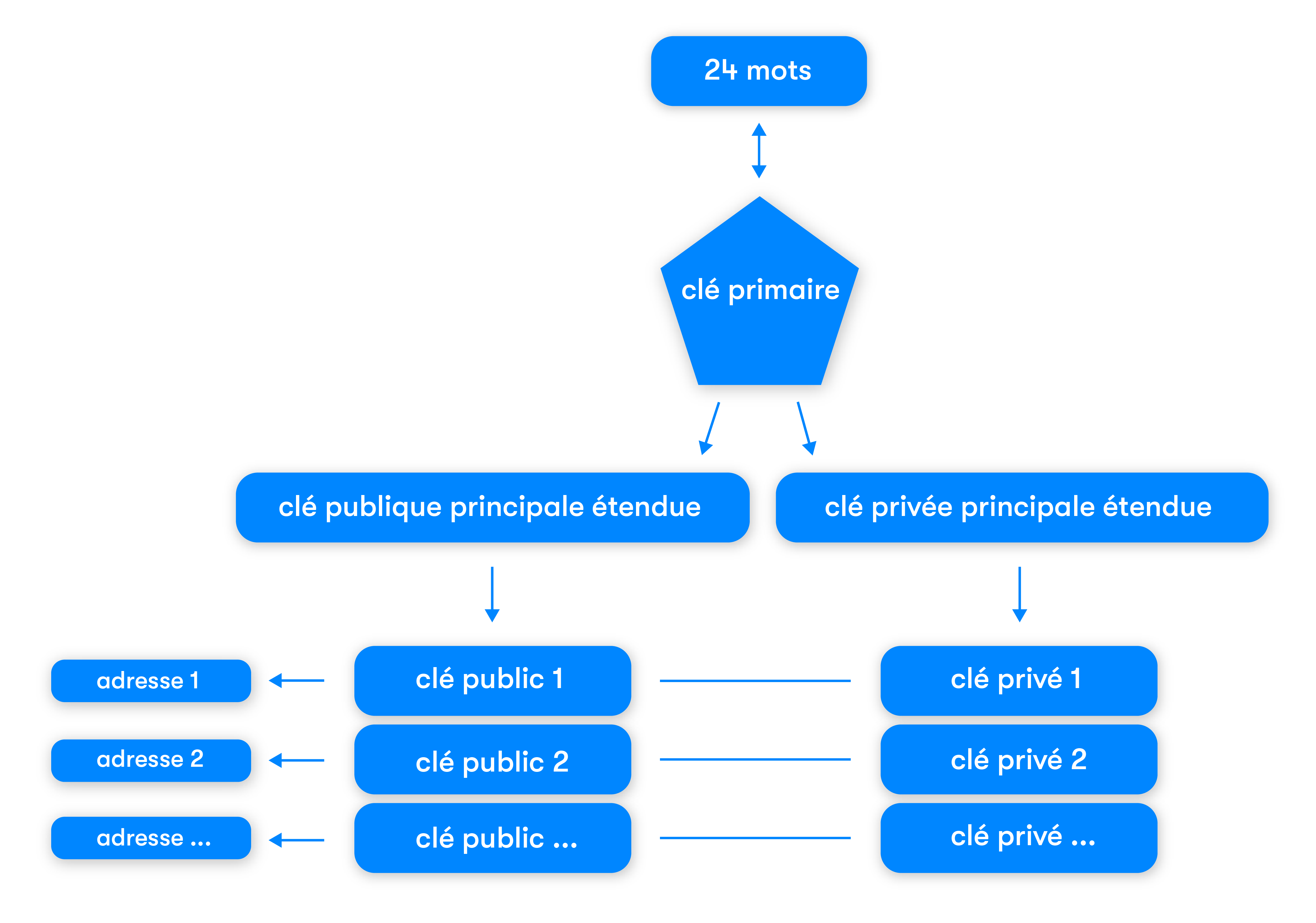 What Is A Private Key Btc Direct - 